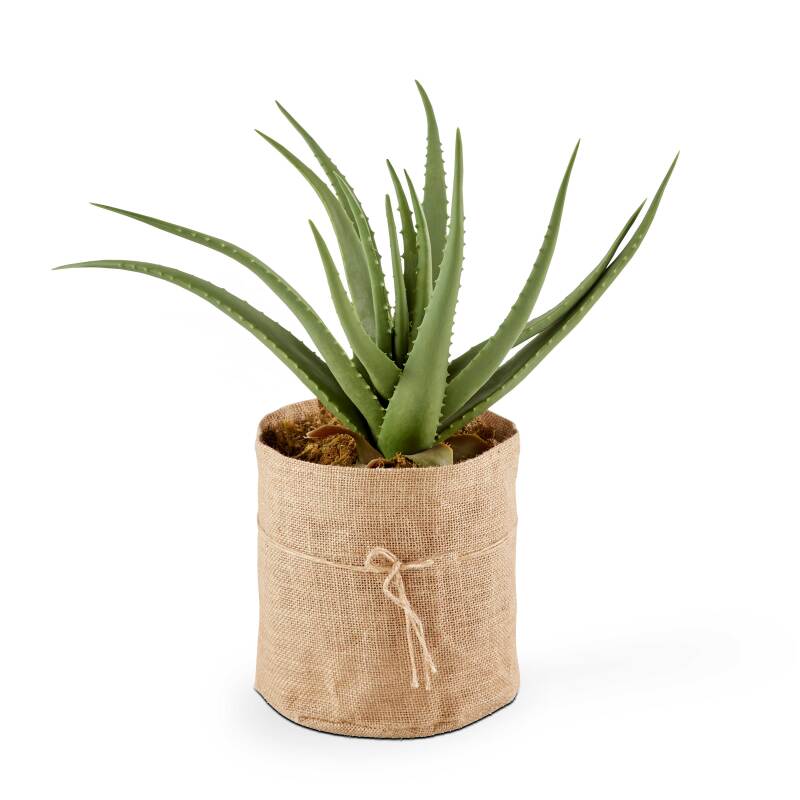 Künstliche Aloe vera in einem Topf, Höhe 43 cm 