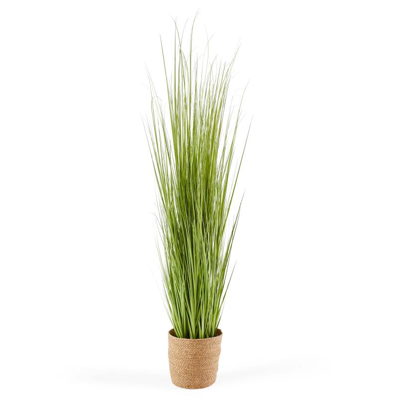 Künstlicher Miscanthus im Topf, Höhe 185 cm 