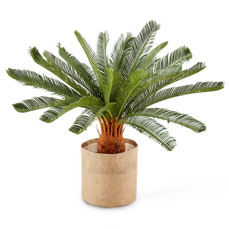 Künstliche Cycas in einem Topf, Höhe 65 cm 